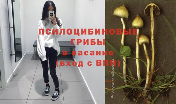 не бодяженный Елабуга