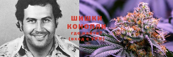 mix Ельня