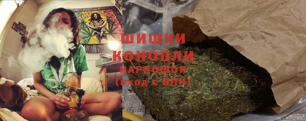 ECSTASY Елизово