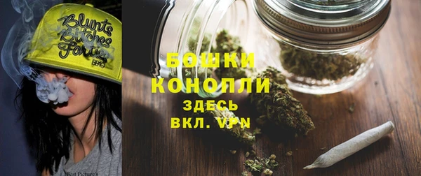 mix Ельня