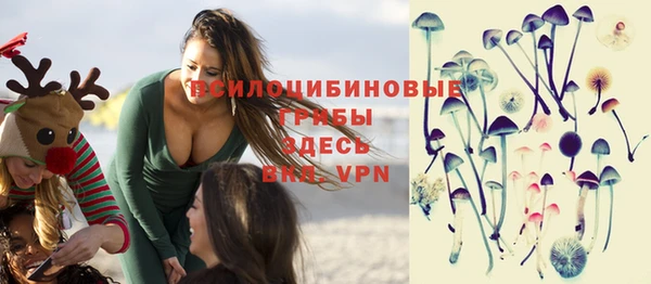 ECSTASY Елизово
