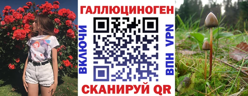 Галлюциногенные грибы Psilocybine cubensis  Купить где  Белая Калитва 